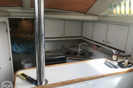 Cruisers 3950 Aft Cabin