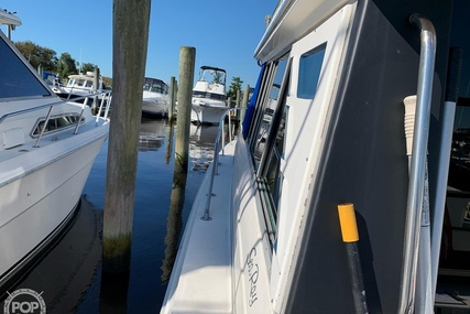 Sea Ray 340 Sedan Bridge