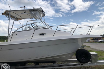 Cobia 250 WA