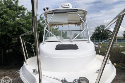 Cobia 250 WA