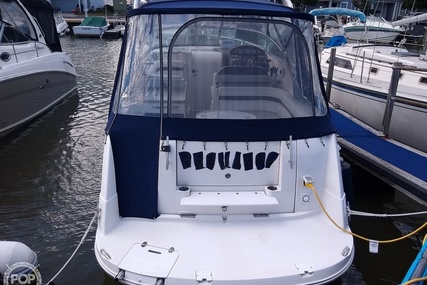 Rinker 280 Express Cruiser