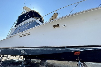 Pacemaker Sportfish 48