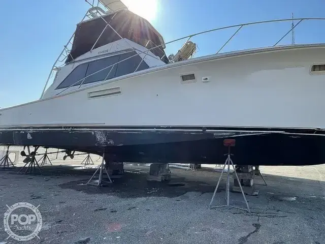 Pacemaker Sportfish 48