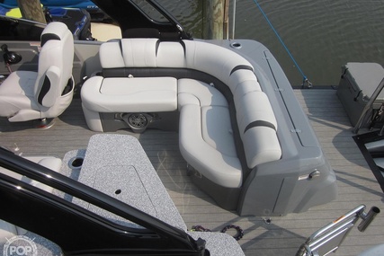 Avalon Excalibur Elite Windshield 27