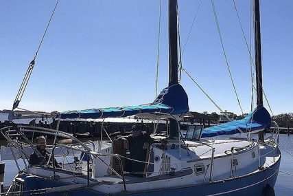 Freedom Yachts Cat Ketch 33