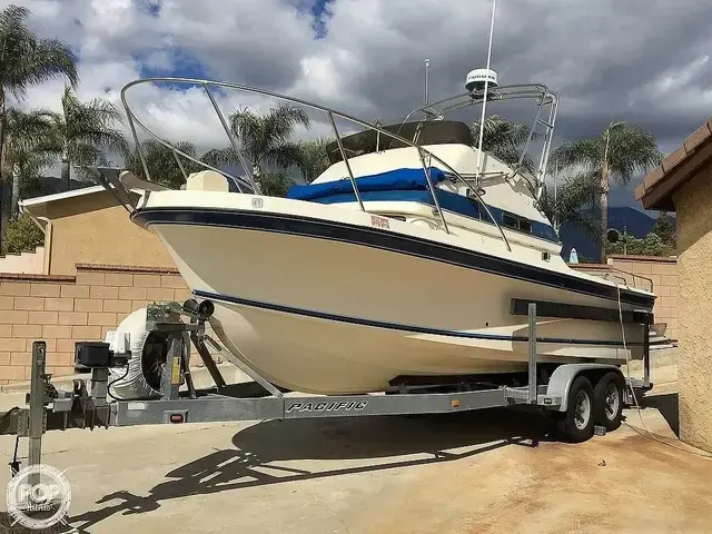 Skipjack Boats 24 Fly bridge