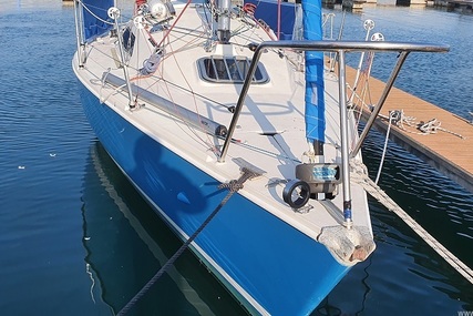 Hunter IMPALA 28