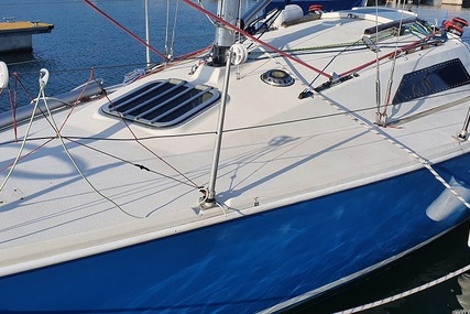 Hunter IMPALA 28