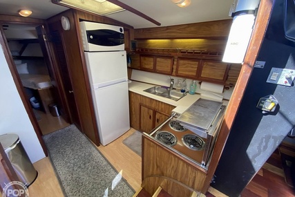 Viking 43 Double Cabin Plan A