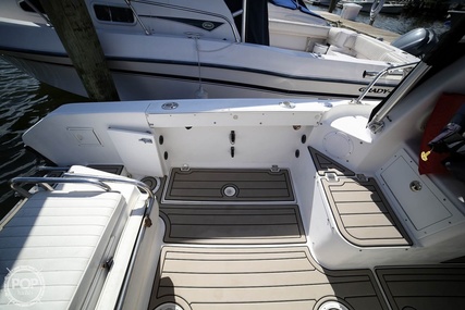 Robalo 2440