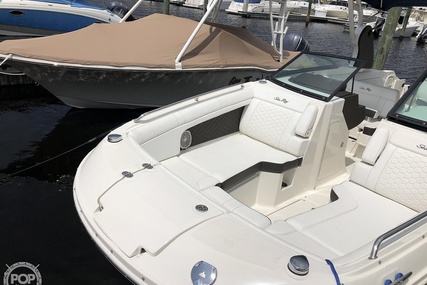 Sea Ray 270 SDX OB