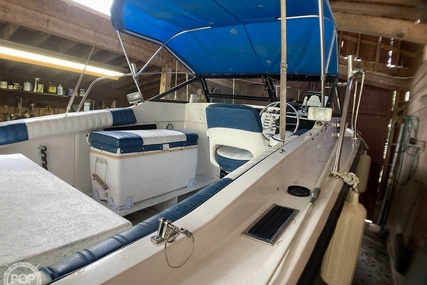 Cobia Caribbean 24CC (Cuddy Cabin) I/O