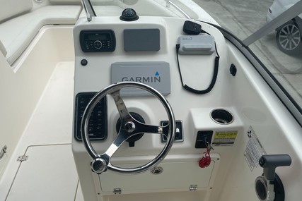 Cobia 220 Dc