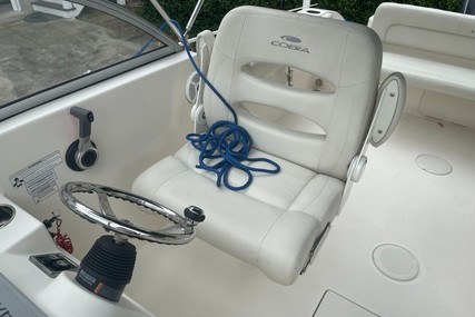 Cobia 220 Dc