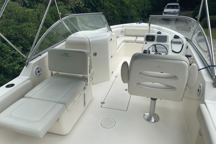 Cobia 220 Dc