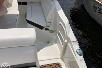 Sea Ray 270 SDX OB