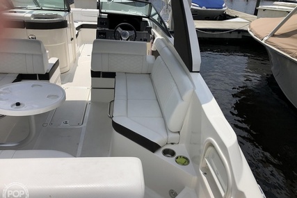 Sea Ray 270 SDX OB