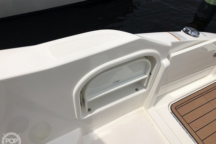 Sea Ray 270 SDX OB