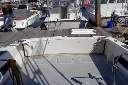 Bertram 28 Flybridge