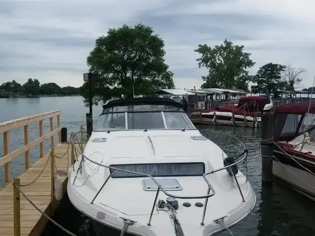 Bayliner Avanti 3255 Sunbridge