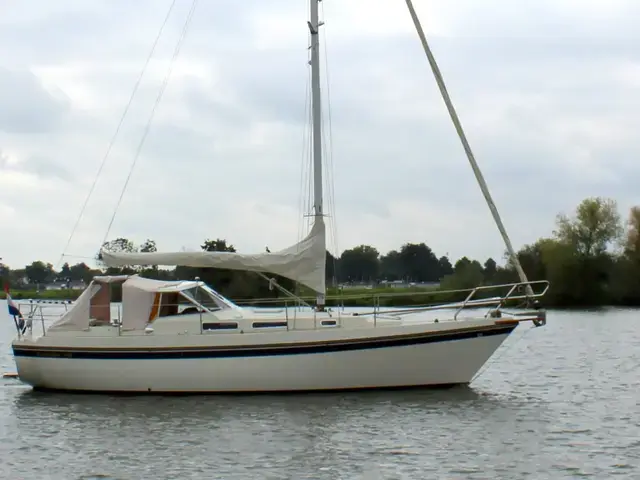 Finnsailer 34