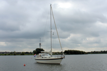 Finnsailer 34