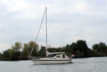 Finnsailer 34