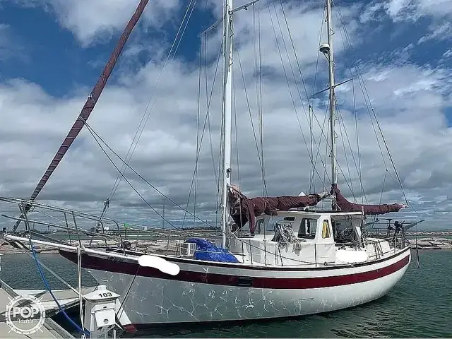 Islander Freeport 41