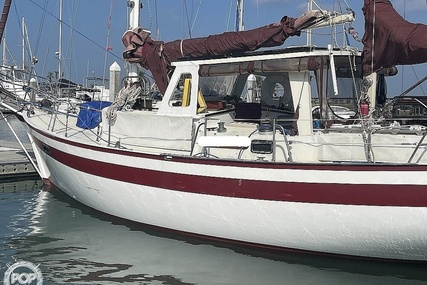 Islander Freeport 41