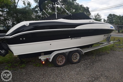 Stingray 220 Dr