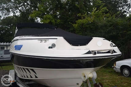 Stingray 220 Dr