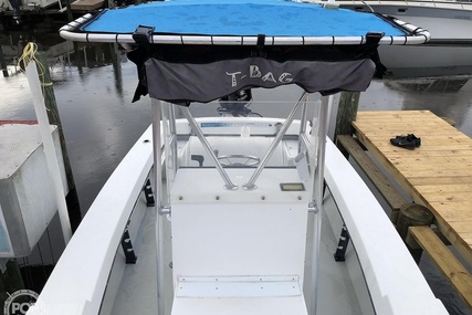 Dusky Marine 19