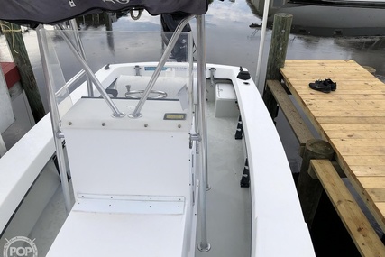 Dusky Marine 19