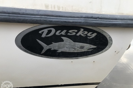 Dusky Marine 19