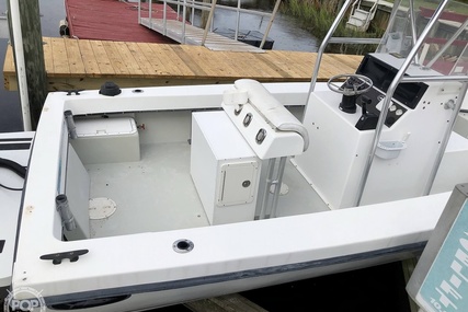 Dusky Marine 19