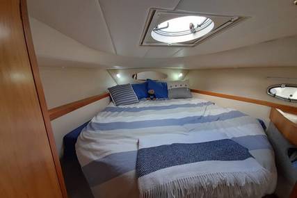 Hardy Seawings 355 Elegance