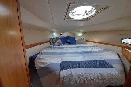 Hardy Seawings 355 Elegance