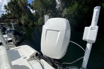 Triton 260LTS