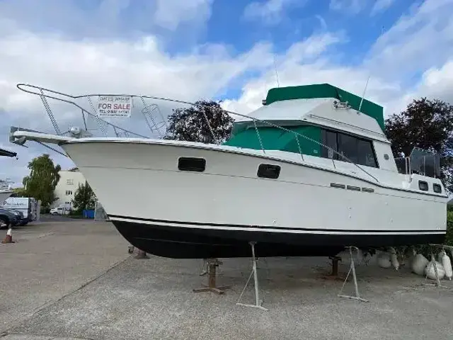 Carver 32 Aft Cabin