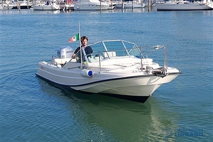 Boston Whaler 21.4 Revenge