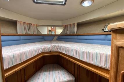 Carver 32 Aft Cabin