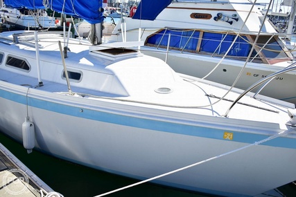 Ericson Yacht 25