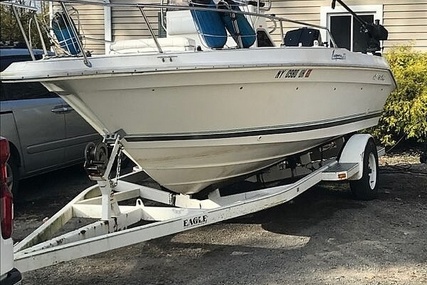 Sea Ray Laguna 18