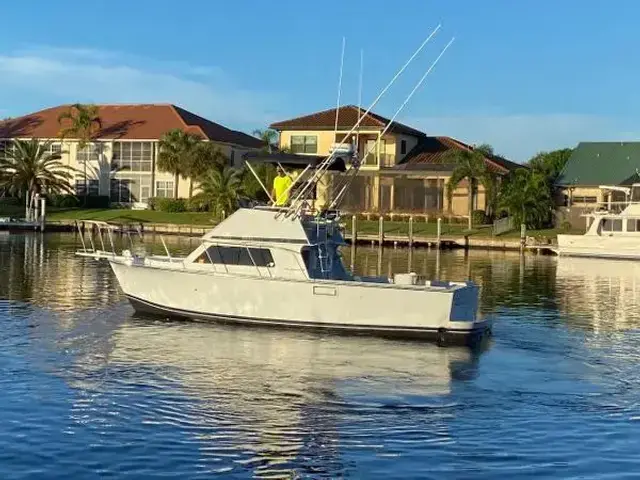 Blackman 29 Flybridge