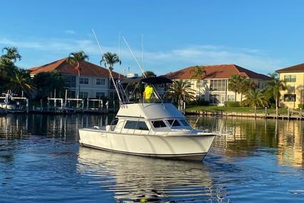 Blackman 29 Flybridge