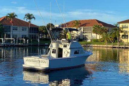 Blackman 29 Flybridge