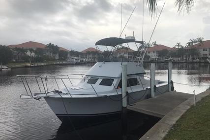 Blackman 29 Flybridge