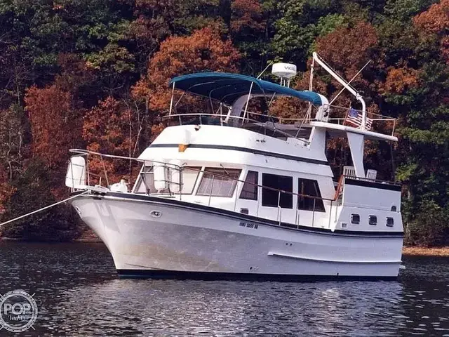 Trader 38 Tradewinds Sundeck