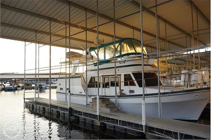 Trader 38 Tradewinds Sundeck