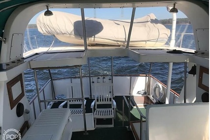 Trader 38 Tradewinds Sundeck